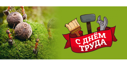 Мир, труд, май!