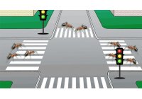 Стоят ли муравьи в пробках?