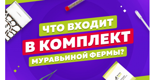 Что входит в стартовый комплект?