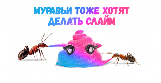 Ого! Смотри, как муравьи отреагируют на слайм