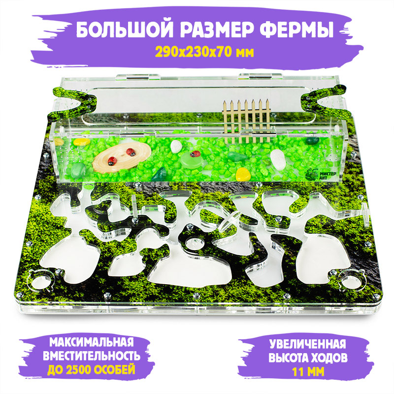Муравьиная ферма Макси "Горный мох" (ПОЛНЫЙ КОМПЛЕКТ) Муравьиная ферма Макси "Горный мох" (ПОЛНЫЙ КОМПЛЕКТ)